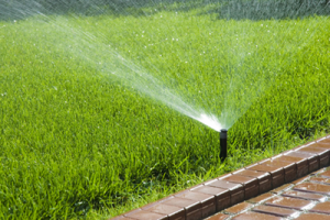 we aim all pop up heads to prevent watering the hardscape